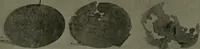 Picture 266 of 349 from The Architect & engineer of California and the Pacific Coast (1905), leaf 388