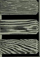 An illustration from The Architect & engineer of California and the Pacific Coast (1905)