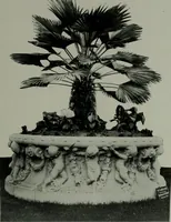 Picture 238 of 398 from The Architect & engineer of California and the Pacific Coast (1905), leaf 258