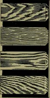 An illustration from The Architect & engineer of California and the Pacific Coast (1905)