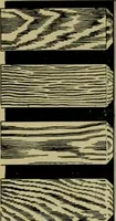 Picture 112 of 328 from The Architect & engineer of California and the Pacific Coast (1905), leaf 148