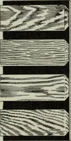 An illustration from The Architect & engineer of California and the Pacific Coast (1905)