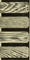 An illustration from The Architect & engineer of California and the Pacific Coast (1905)
