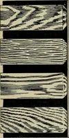 An illustration from The Architect & engineer of California and the Pacific Coast (1905)