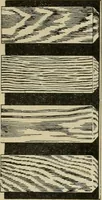 An illustration from The Architect & engineer of California and the Pacific Coast (1905)