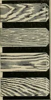 An illustration from The Architect & engineer of California and the Pacific Coast (1905)