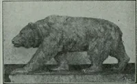 Picture 225 of 314 from The Architect & engineer of California and the Pacific Coast (1905), leaf 351