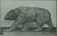 An illustration from The Architect & engineer of California and the Pacific Coast (1905)