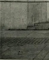 An illustration from The Architect & engineer of California and the Pacific Coast (1905)