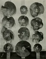 Picture 298 of 455 from The Architect & engineer of California and the Pacific Coast (1905), leaf 367