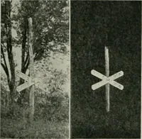 Picture 70 of 455 from The Architect & engineer of California and the Pacific Coast (1905), leaf 86