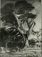 An illustration from The Architect & engineer of California and the Pacific Coast (1905)