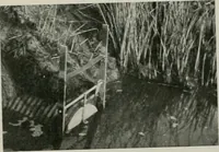 Picture 340 of 429 from The Architect & engineer of California and the Pacific Coast (1905), leaf 494