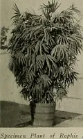 Picture 229 of 503 from The Architect & engineer of California and the Pacific Coast (1905), leaf 400