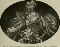 Picture 230 of 503 from The Architect & engineer of California and the Pacific Coast (1905), leaf 400