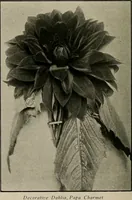 Picture 311 of 503 from The Architect & engineer of California and the Pacific Coast (1905), leaf 557