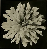 An illustration from The Architect & engineer of California and the Pacific Coast (1905)