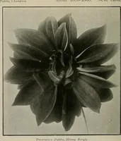 An illustration from The Architect & engineer of California and the Pacific Coast (1905)