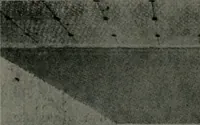 An illustration from The Architect & engineer of California and the Pacific Coast (1905)
