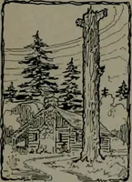 Picture 306 of 520 from The Architect & engineer of California and the Pacific Coast (1905), leaf 512