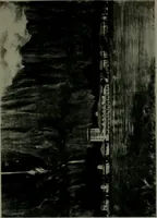 An illustration from The Architect & engineer of California and the Pacific Coast (1905)