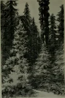 An illustration from The Architect & engineer of California and the Pacific Coast (1905)