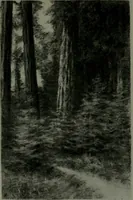 An illustration from The Architect & engineer of California and the Pacific Coast (1905)