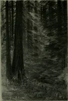 An illustration from The Architect & engineer of California and the Pacific Coast (1905)