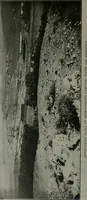 An illustration from The Architect & engineer of California and the Pacific Coast (1905)