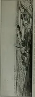 An illustration from The Architect & engineer of California and the Pacific Coast (1905)