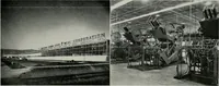 Picture 116 of 141 from Bay region business v.5 (1948) (1905), leaf 232