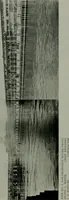 An illustration from The Architect & engineer of California and the Pacific Coast (1905)