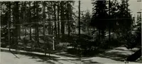 An illustration from The Architect & engineer of California and the Pacific Coast (1905)