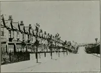 An illustration from The Architect & engineer of California and the Pacific Coast (1905)