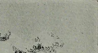 An illustration from The Architect & engineer of California and the Pacific Coast (1905)