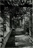 An illustration from The Architect & engineer of California and the Pacific Coast (1905)