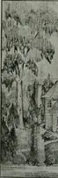 An illustration from The Architect & engineer of California and the Pacific Coast (1905)