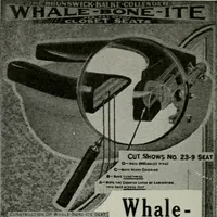 An illustration from Architect and engineer (1905)