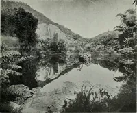 An illustration from Architect and engineer (1905)