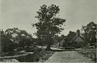 An illustration from Architect and engineer (1905)