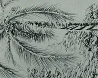 An illustration from Architect and engineer (1905)