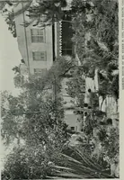An illustration from Architect and engineer (1905)