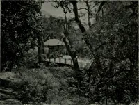 An illustration from Architect and engineer (1905)