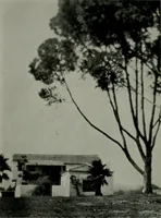 An illustration from Architect and engineer (1905)