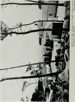 Picture 94 of 464 from Architect and engineer (1905), leaf 103