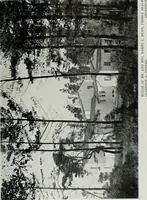 Picture 107 of 464 from Architect and engineer (1905), leaf 114