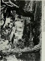 An illustration from Architect and engineer (1905)