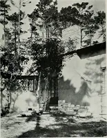 Picture 118 of 464 from Architect and engineer (1905), leaf 126