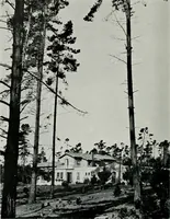 An illustration from Architect and engineer (1905)
