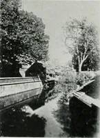 Picture 269 of 464 from Architect and engineer (1905), leaf 298